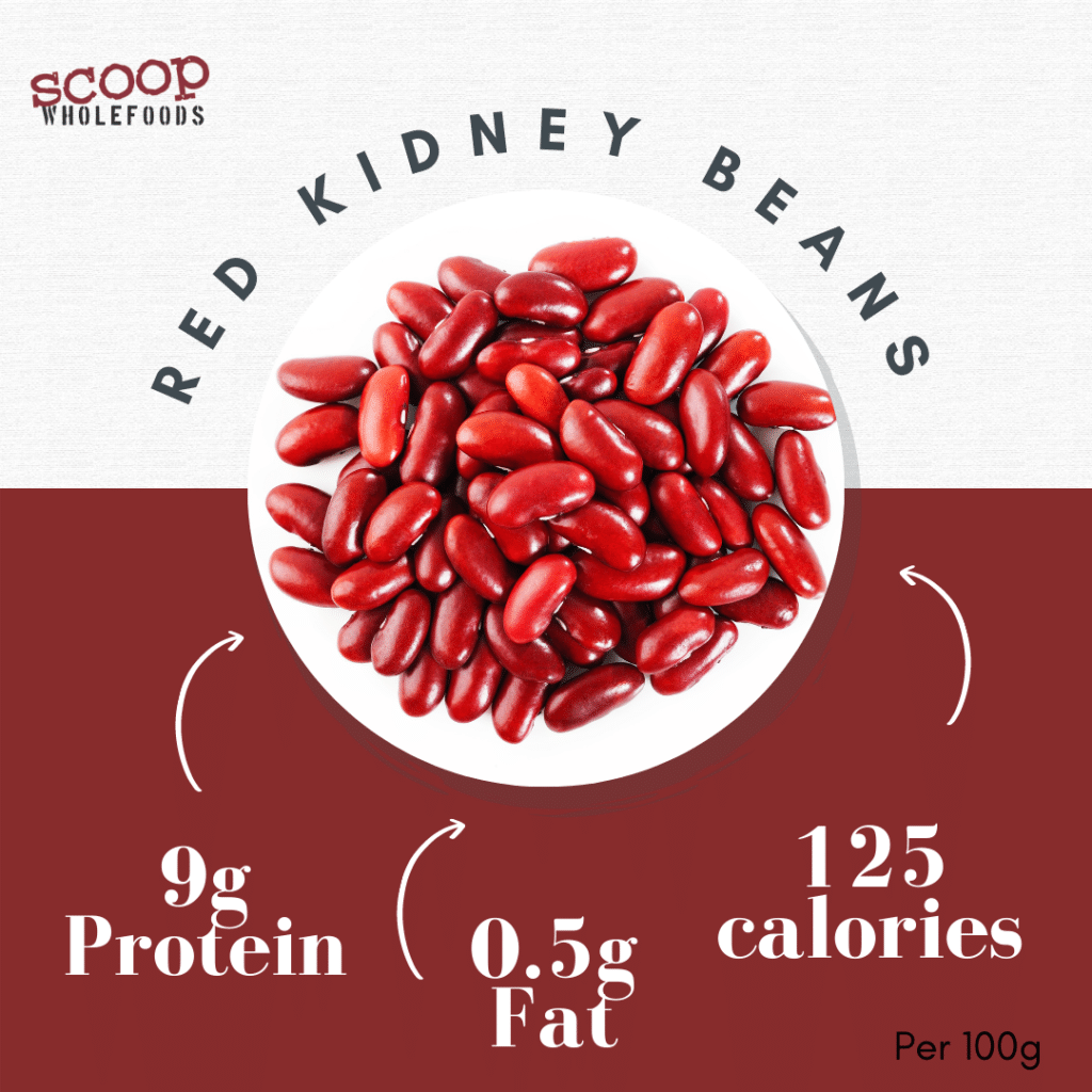 Kidney bean protein content